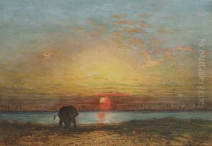 An Elephant At Sunset, Thailand