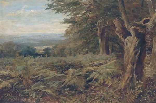 At the edge of the forest - view 1