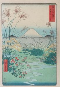Kai Otsukinohara by Utagawa or Ando Hiroshige