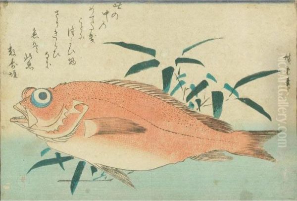 Seabream And Bamboo Grass - view 1