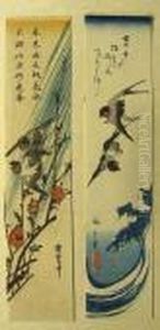 Tanzaku Tanzaku