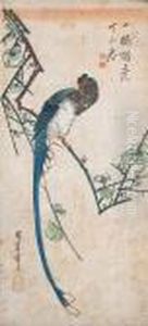 A Kacho-e by Utagawa or Ando Hiroshige