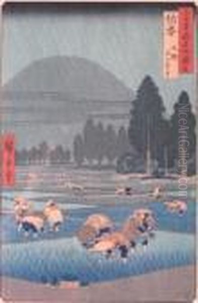 Distant View Of Mt. Oyama - view 1