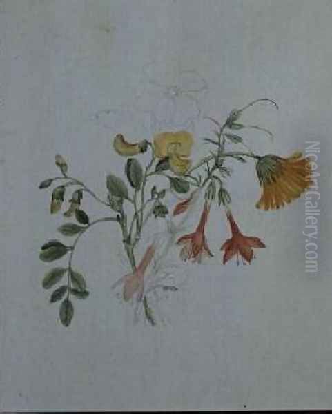 Broom and Marigolds - view 1