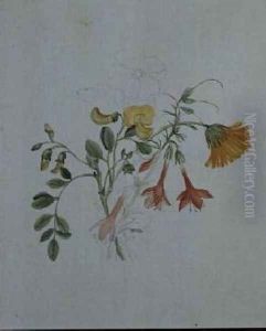 Broom and Marigolds by Caroline Louisa Meredith