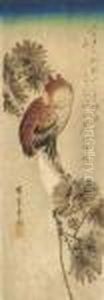 An Owl Perched On A Pine Branch 
Before A Crescent Moon, Accompanied By A Poem By Hachijintei, Signed by Utagawa or Ando Hiroshige