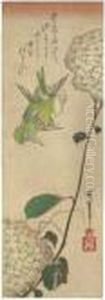 Kacho-ga by Utagawa or Ando Hiroshige