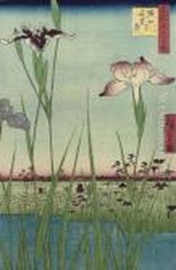 The Iris Garden At Horikiri by Utagawa or Ando Hiroshige