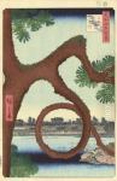 Ueno Sannai, Tsuki No Matsu ("moon-pine," Ueno Temple Precincts) - view 1