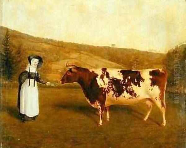 Shorthorn Cow 1840-50 - view 1