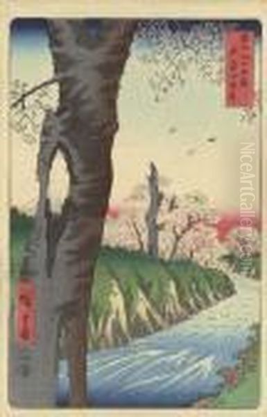 Musashi Koganei (koganei In Musashi Province) - view 1