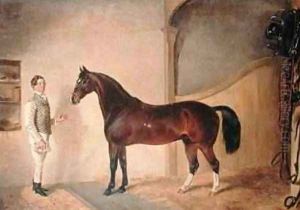 Groom with Hunter on Tredegar Estate Monmouthshire 1851 by James Flewitt Mullock
