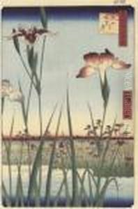 Iris En Fleurs A Horikiri by Utagawa or Ando Hiroshige