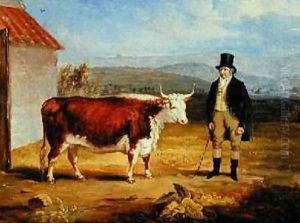 Mr James Hodges and his Two Year-Old Hereford Heifer 1843 by James Flewitt Mullock