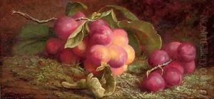 Plums on a branch by John Fitz Marshall