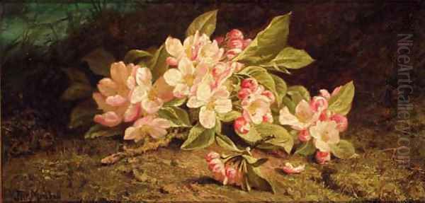 Apple blossom on a mossy bank - view 1