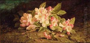 Apple blossom on a mossy bank