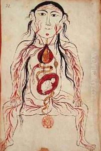 Ms Persan 151 Fol32 Anatomical diagram of a woman and her foetus by b. Eliyas Chirazi Mansour