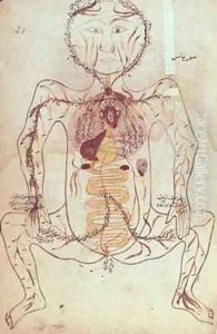 Ms Persan 1555 Anatomical diagram of the human circulatory and digestive system by b. Eliyas Chirazi Mansour