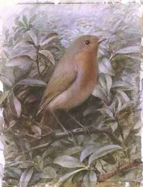 Robin on a Twig - view 1