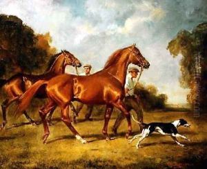 Exercising the Horses by H. Raoul Millais