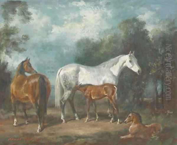Mares and foals in a paddock - view 1