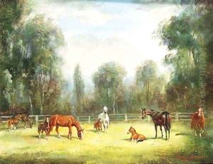 Mares and Foals grazing in a Paddock