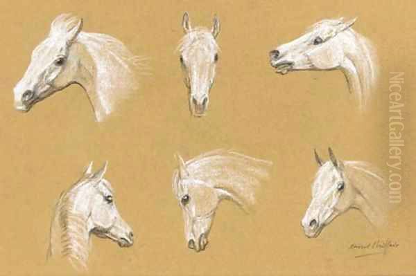 White horses - view 1
