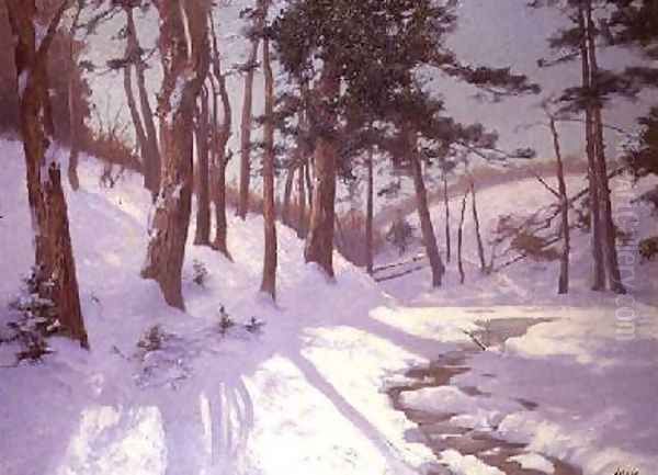 Winter woodland with a stream - view 1