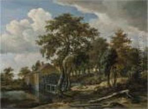 Summer Landscape
