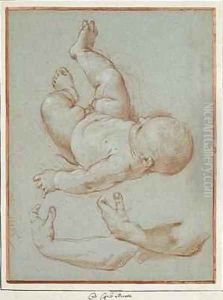 The Infant Romulus and two studies of a mans left arm
