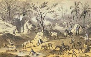 Crossing the Isthmus by Marryat, Francis Samuel