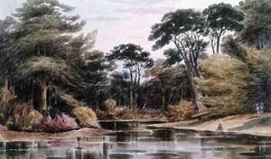 In Virginia 1862 by William the Younger MacIlvaine