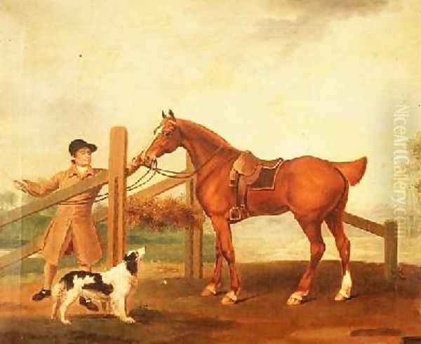 A groom leading a bay hunter - view 1