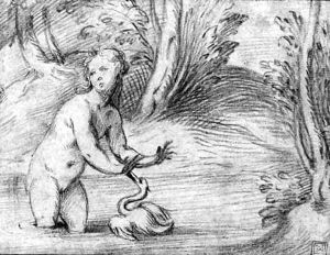 Leda and the Swann