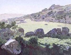 Cornish Moors