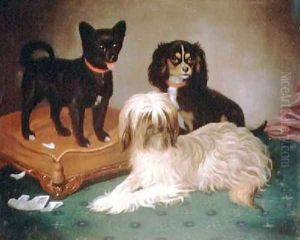 Three dogs by William Elsob Marshall