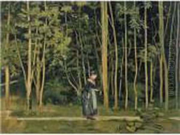 Walk Along The Border Of A Wood - view 1