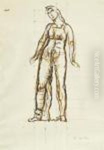 Study For Standing Woman by Ferdinand Hodler