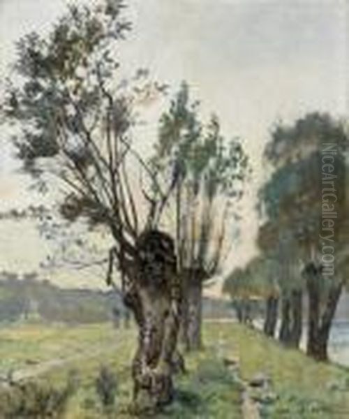 Pasture At La Jonction In The Evening - view 1
