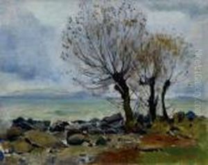 Weiden Am Genfersee by Ferdinand Hodler