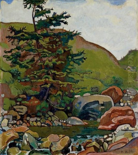 Tanne Am Bach - view 1