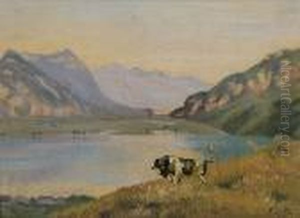 Thuner- Und Brienzersee Mitfreiburgerstier - view 1