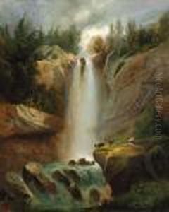 Sammlung Des Oberrichters Dr. H. Lerch