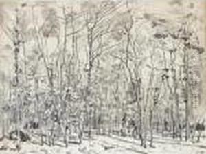 Drawing For 'the Beech Grove' Drawing For 'the Beech Grove'