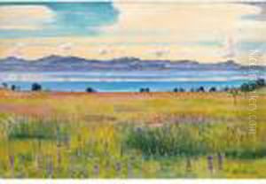 Der Genfersee Von Saint-prex Aus
View Of The Lake Of Geneva From Saint-prex