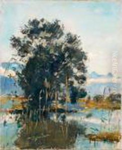 Marshland By Gwatt (lake Of Thun) by Ferdinand Hodler