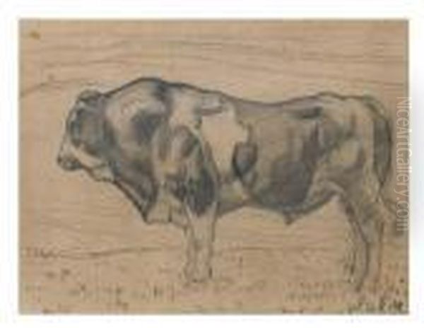 Freiburger Stier - view 1