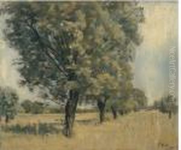 Baumgruppe - view 1
