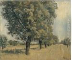 Baumgruppe by Ferdinand Hodler